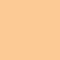 Light Orange (CMYR02)