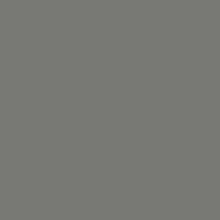 Warm Gray 7 (CMW7)