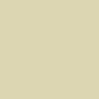 Putty (CMYG91)