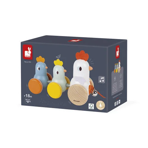 Wooden sorting toys for learning colors and shapes​ Hen & Chicks Pull Along