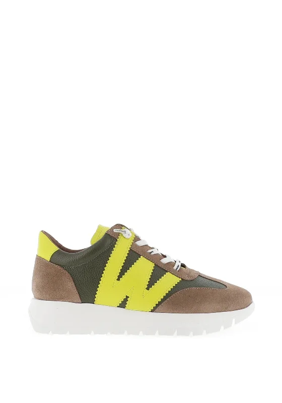 Wonders Meri Mixed Leather Trainers, Taupe & Algae