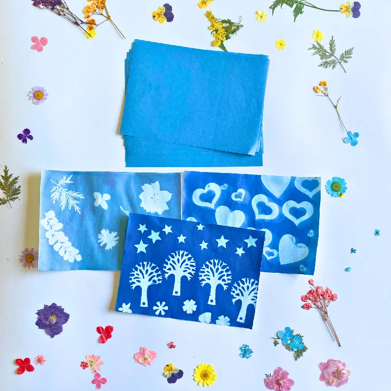 Solar - powered outdoor toys for eco - friendly play Curious Minds Sun Print Paper Kit, 10 Sheet Pack of Cyanotype Paper, 18x13 cm Sheets Solar - powered outdoor toys for eco - friendly play Curious Minds Sun Print Paper Kit, 10 Sheet Pack of Cyanotype Paper, 18x13 cm Sheets