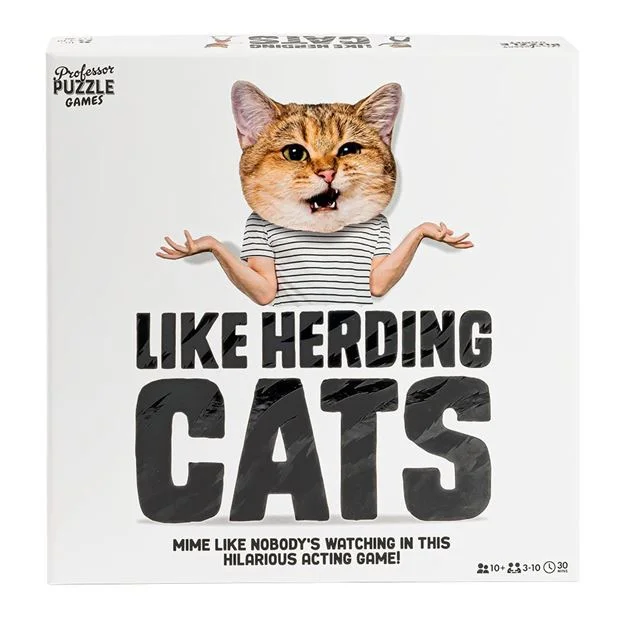 Math - focused educational toys for preschoolers​ Like Herding Cats