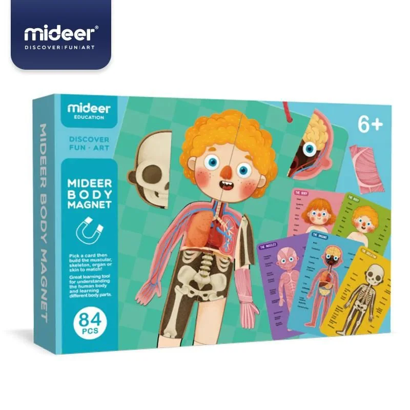 Educational toys for teaching augmented reality basics​ Body Magnets