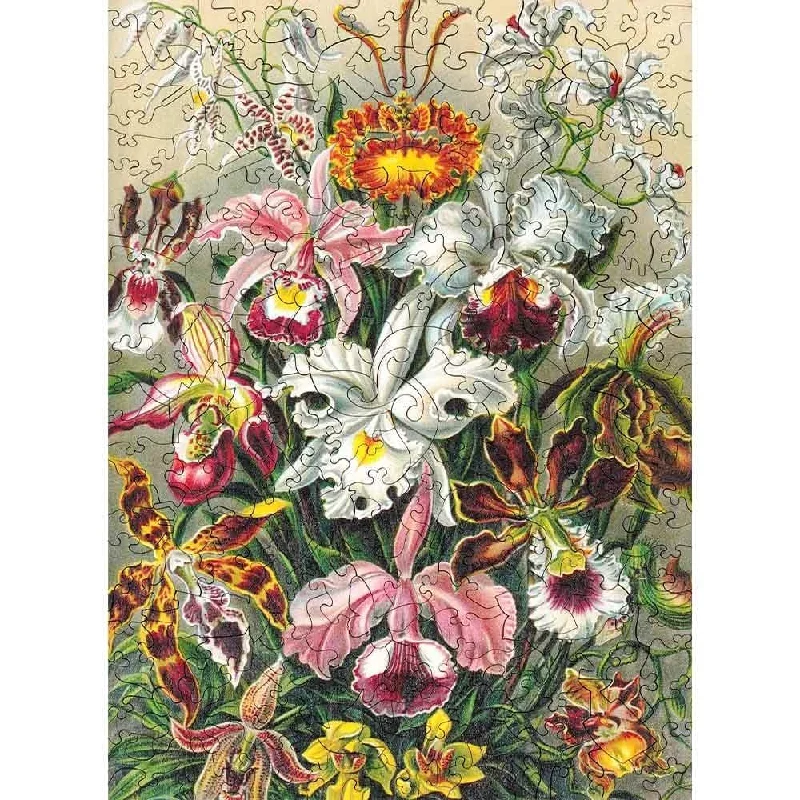 Educational toys for teaching accounting basics Twigg Jigsaw Puzzles Ernst Haeckel Orchids - 200 Piece Educational toys for teaching accounting basics Twigg Jigsaw Puzzles Ernst Haeckel Orchids - 200 Piece