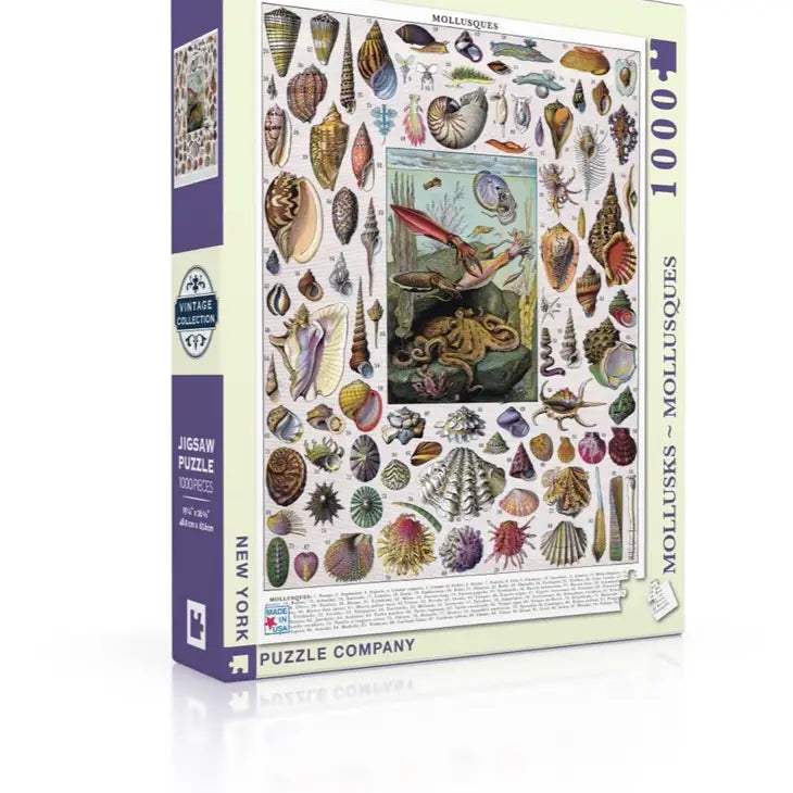Puzzle - based memory games for cognitive improvement​ MOLLUSQUES PUZZLE 1000 PC