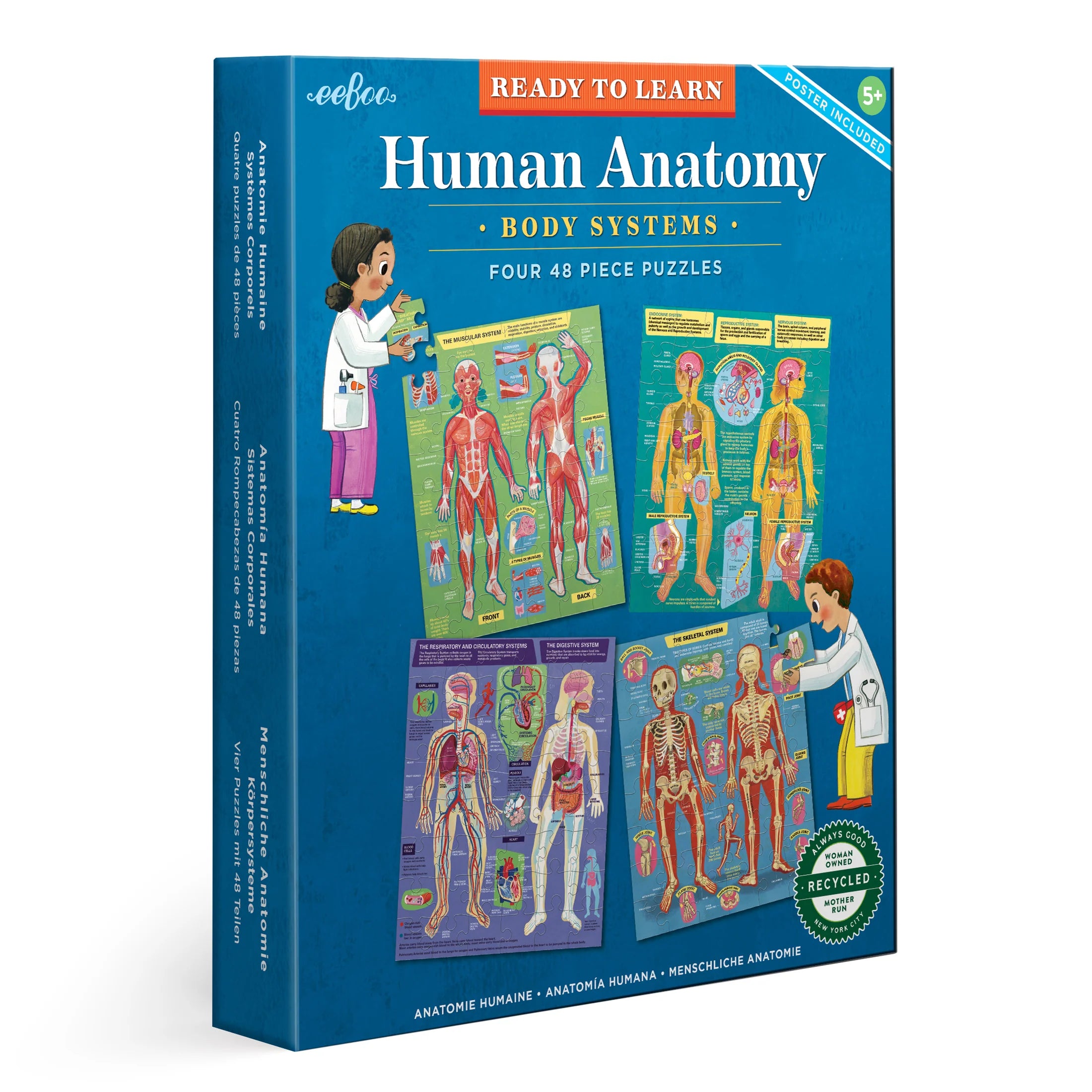 Puzzle - based team - building activities for offices Human Anatomy Body Systems Four 48 pc Puzzles Puzzle - based team - building activities for offices Human Anatomy Body Systems Four 48 pc Puzzles