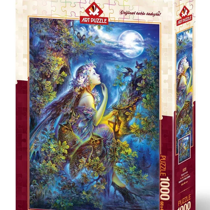 Space - exploration puzzles with planets and stars​ IN MY DREAMS 1000PC PUZZLE
