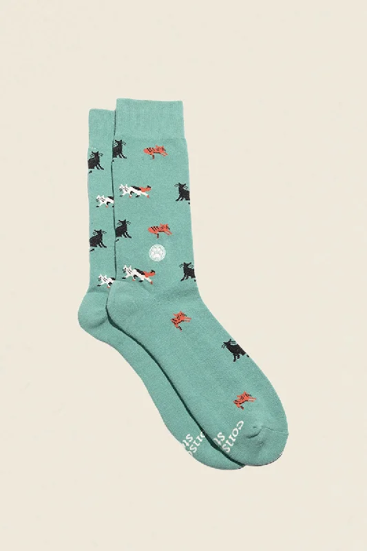 Socks That Save Cats